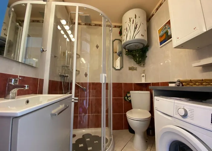 2* Avec Jardin, Climatisation, Proche Etang A - Fr-1-503-74 Apartment *