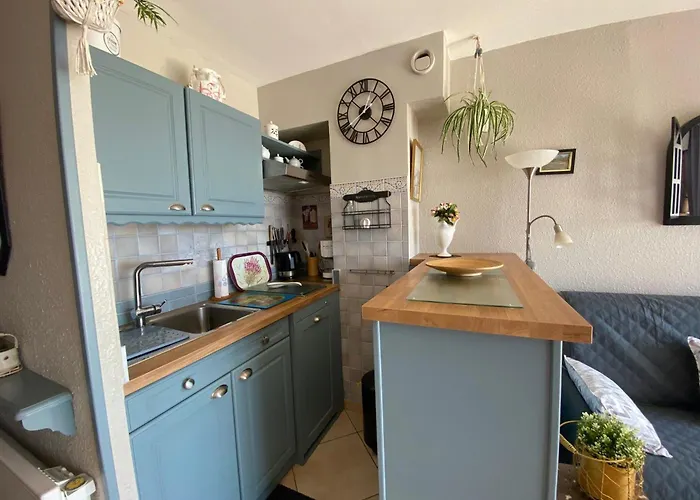 2* Avec Jardin, Climatisation, Proche Etang A - Fr-1-503-74 Apartment